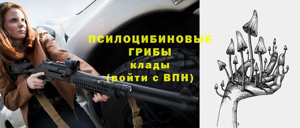 СК Алексеевка